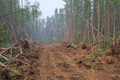 Commercial Land Preparation in Katy, TX